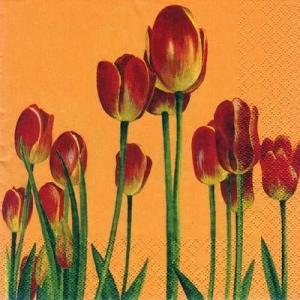 s5411 - Red Tulips - orange - Servietten - Packung - 20 Stück
