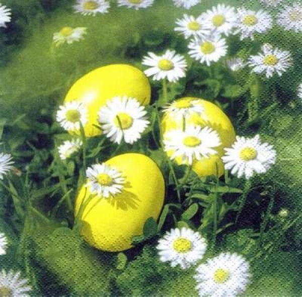 s5542 - Eier auf Wiese - Napkins - Package - 20 pcs.