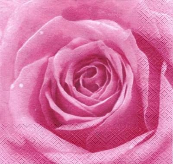 s5612 - Rosentraum - rose - Servietten - Packung - 20 Stück