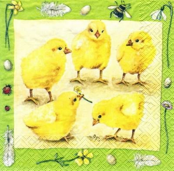 s5629 – Kükenfreunde - Servietten - Packung - 20 Stück