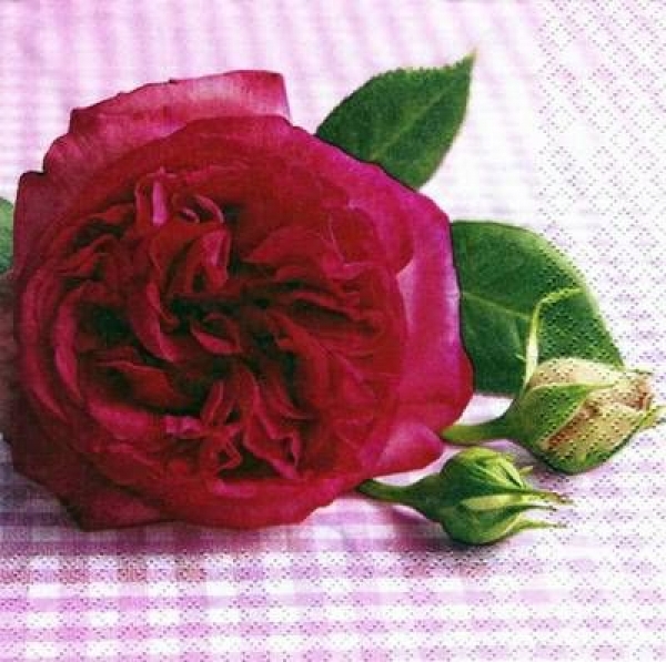 s5685 - Rosie - rosa - Servietten - Packung - 20 Stück