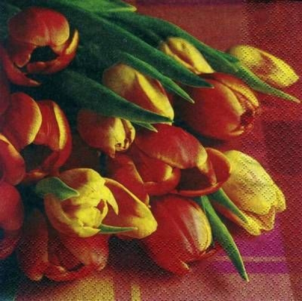 s5693 - Tulipa - orange - Servietten - Packung - 20 Stück