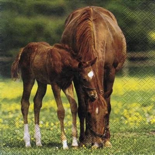 s6024 - Horses - braun - Servietten - Packung - 20 Stück