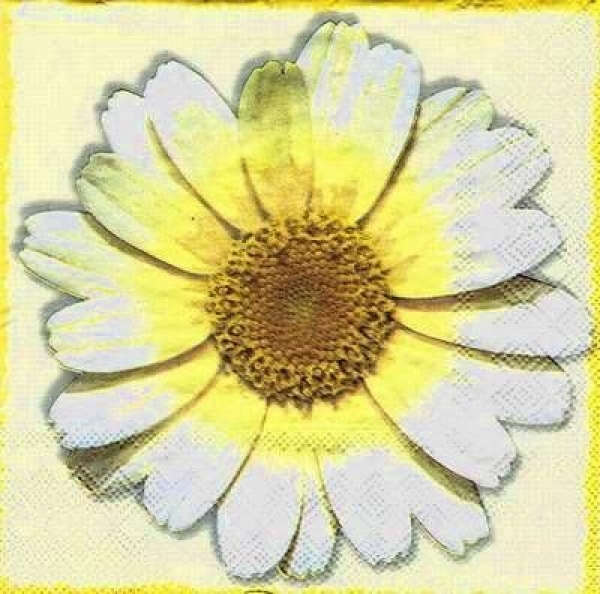 s6054 - Sweet Daisy - creme - Servietten - Packung - 20 Stück