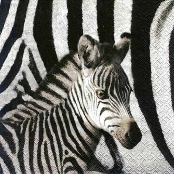 s6061 - Zebra - Servietten - Packung - 20 Stück