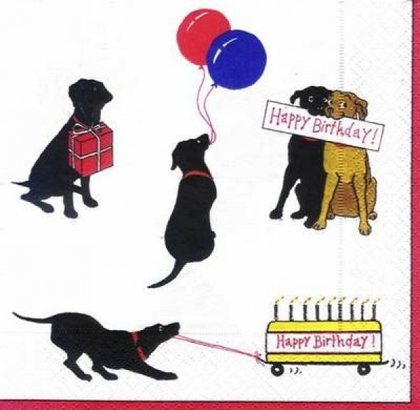 s6157 – Happy Birthday for Dogs – Servietten – Packung – 20 Stück