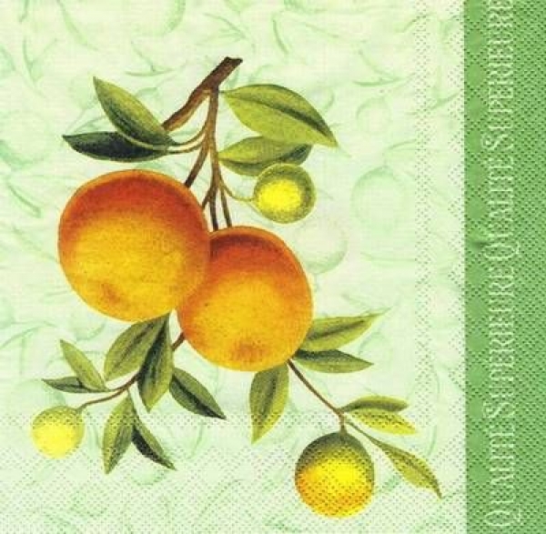 s6185 - Oranges - Celadon  - Packung - 20 Stück.
