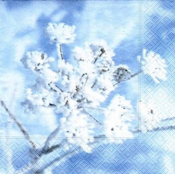 s6189 - Frozen Branch - Servietten - Packung - 20 Stück