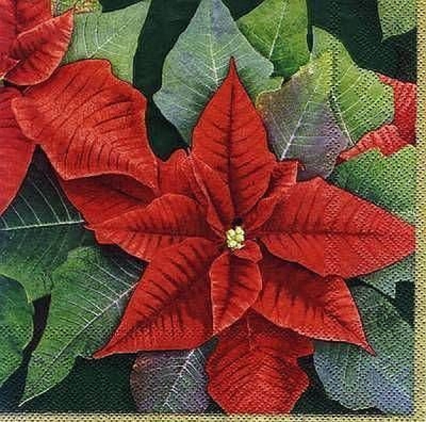 s6389 - Joy and Glory - green - Napkins - Package - 20 pcs.