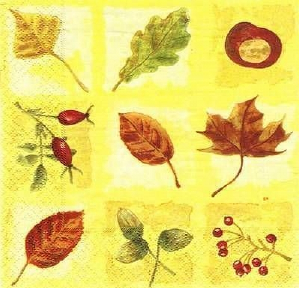 s6601 - Autumn Pictures - Servietten - Packung - 20 Stück