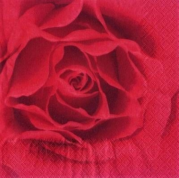 s6700 - Scent of a Rose - red - Servietten - Packung - 20 Stück