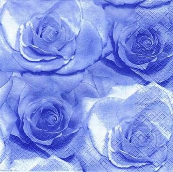 s6704 - Rose Poetry - blue - Servietten - Packung - 20 Stück