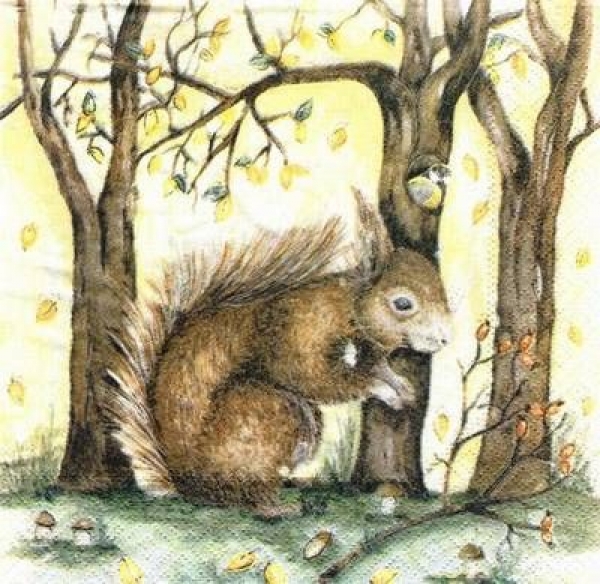 s6729 – Eichhörnchen - Servietten - 33 x 33 cm - Packung - 40 Stück