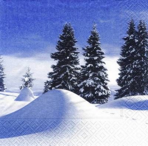 s6740 - Winterlandschaft - Servietten - Packung - 20 Stück