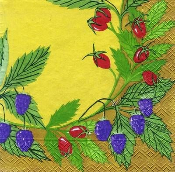 s6765 - Herbstfrüchte - Servietten - 33 x 33 cm - Packung - 20 Stück