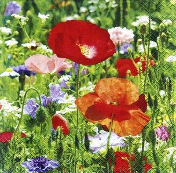 s6858 - Lenzia - grün - Servietten - 33 x 33 cm - Packung - 20 Stück