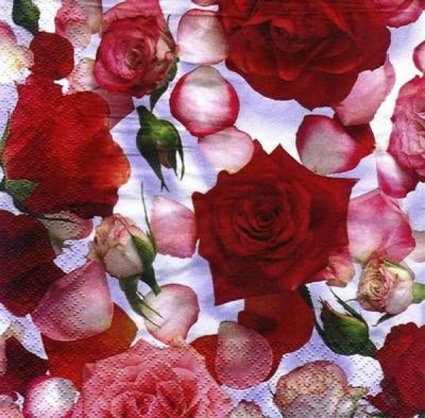 s6868 – Rote Rosen – Servietten – 33 x 33 cm - Packung – 20 Stück