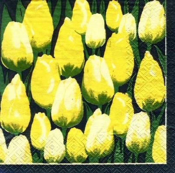 s7040 - Tulpenwiese - gelb - Servietten - Packung - 20 Stück
