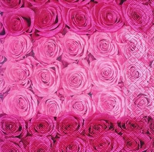 s7071 - Rosentraum - rosa/pink - Napkins - Package - 20 pcs.