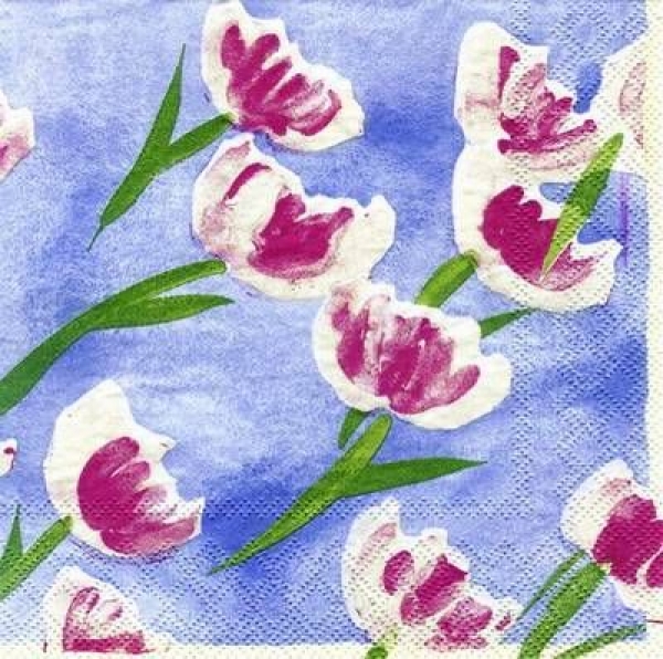 s7125 - Kortzau Tulips - Servietten - Packung - 20 Stück.