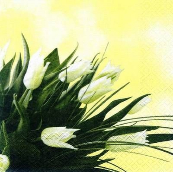 s7194 - Classic Tulip - yellow - Servietten - Packung - 20 Stück.