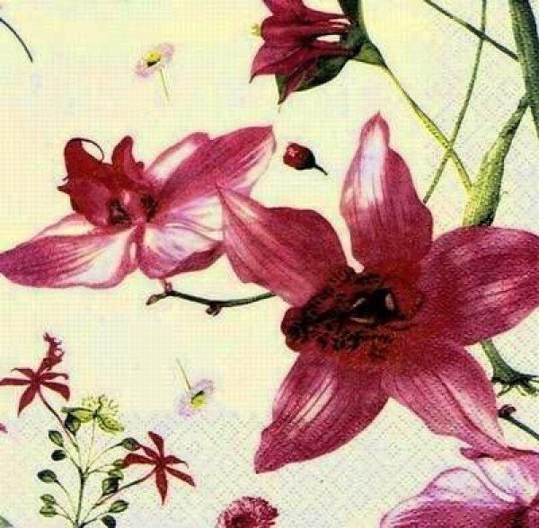 s7229 - Orchidea - champagne - Servietten - Packung - 20 Stück