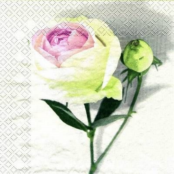 s7242 - Englische Rose - Napkins - Package - 20 pcs.