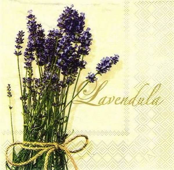 s7300 - Lavendula - cream - Servietten - Packung - 20 Stück