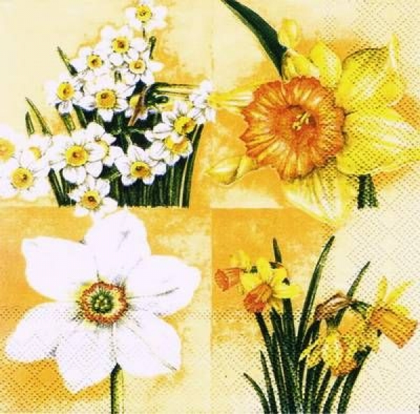 s7313 - Narcisses - yellow - Napkins - Package - 20 pcs..