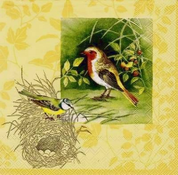s7480 - Birds Nest - yellow - Servietten - Packung - 20 Stück