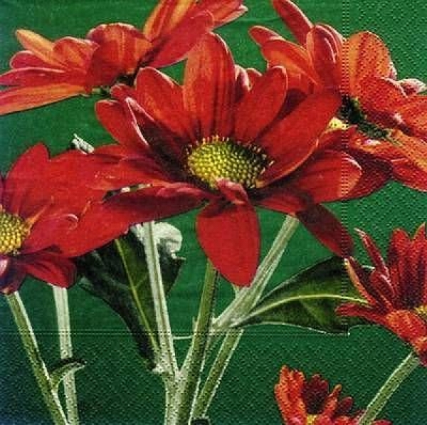s7674 - Branch of red Blooms - Servietten - Packung - 20 Stück