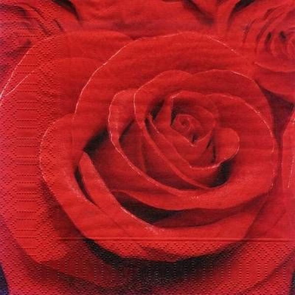 s7735 - Red Rose - Servietten - Packung - 20 Stück