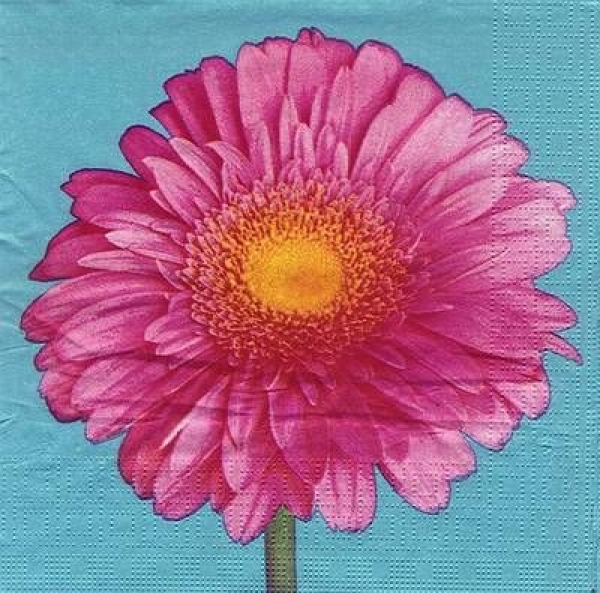 s7743 - Bright Gerbera - turquoise - Napkins - Package - 20 pcs..