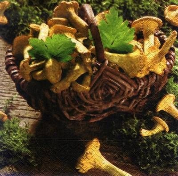 s7745 - Mushrooming - Servietten - Packung - 20 Stück