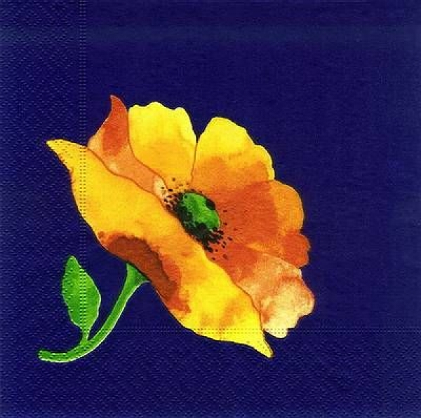 s7931 - Mohnblumen - blau/koralle - Napkins - Package - 20 pcs.