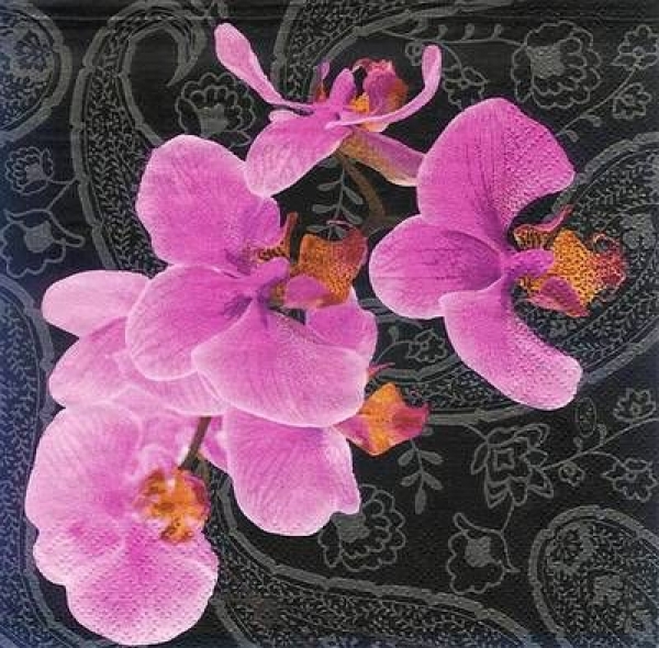 s8072 - Lovely Orchid - black - Napkins - Package - 20 pcs..