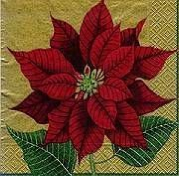 s8111 - Karen's Poinsettias Gold - Servietten - Packung - 20 Stück