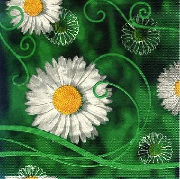 s8155 - Spring Daisies - Napkins - Package - 20 pcs.