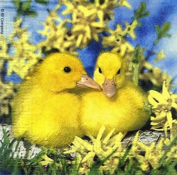 s8160 - Ducklings - Servietten - Packung - 20 Stück