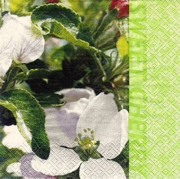 s8201 - Sweet Cherry - Napkins - Package - 20 pcs.