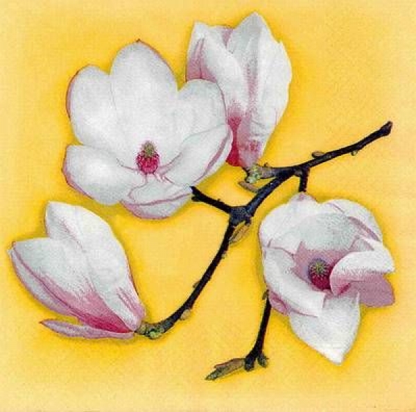 s8215 - White Magnolia - yellow - Napkins - Package - 20 pcs..
