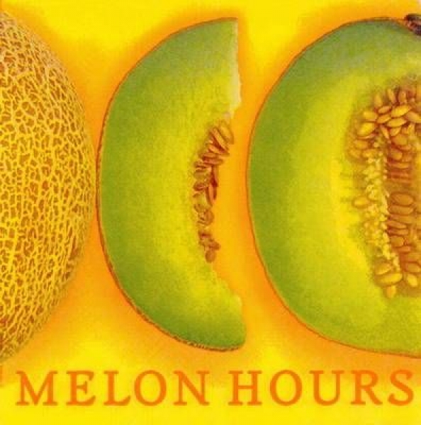 s8232 - Melon Hours - yellow - Napkins - Package - 20 pcs.
