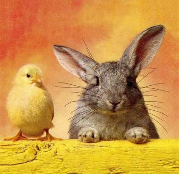 s8238 - Chick and Rabbit - Servietten - Packung - 20 Stück