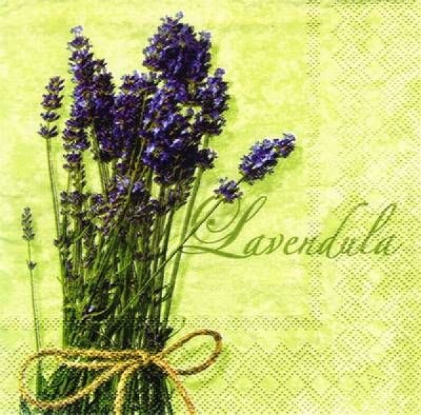 s8247 - Lavendula - green - Servietten - Packung - 20 Stück