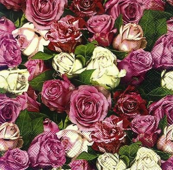 s8251 - Roses all over - Napkins - Package - 20 pcs.