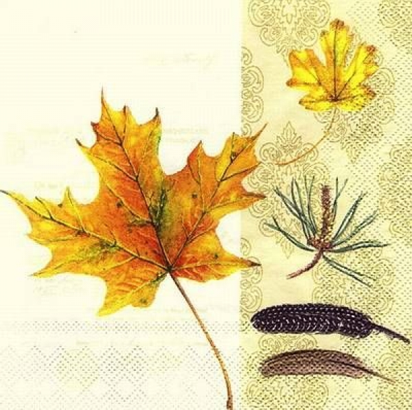s8267 - Autumn begin - cream - Servietten - Packung - 20 Stück
