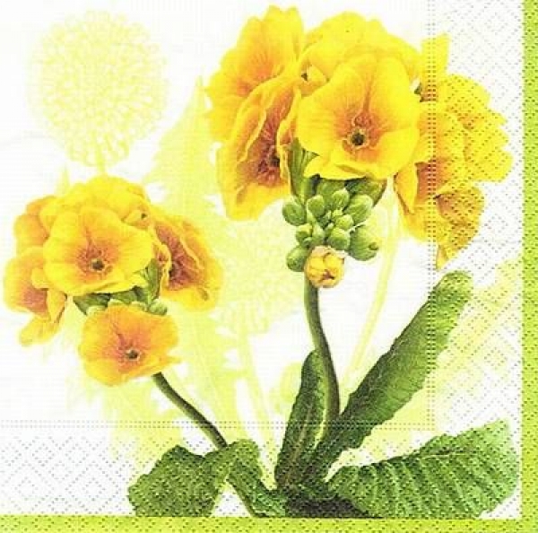 s8290 - Primel - Napkins - Package - 20 pcs.
