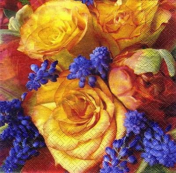 s8291 - Springpower - Napkins - Package - 20 pcs.