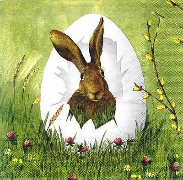 s8301 - Easter Outlook - white - Servietten - Packung - 20 Stück