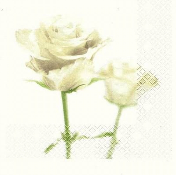 s8478 - Rose - weiß - Napkins - Package - 20 pcs.